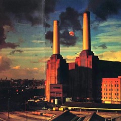 Animals - Dogs