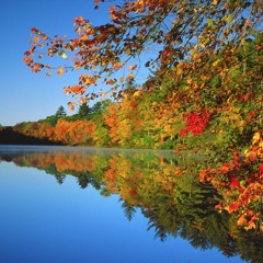 Envision Fall 2016 Playlist