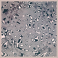 The Unreasonable Mess 003