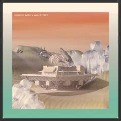 STEREOYUNOST - A2 -  RITM VREMENI (WALL $TREET REMIX)