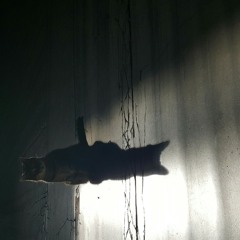 Sultanahhhmetcatober