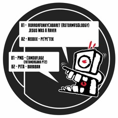 PMS23 - Camouflage(FATAMORGANA PT2) OUT ON PTR00 PURETRIBAL RECORDS