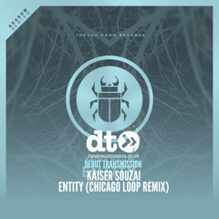 Kaiser Souzai - Entity (Chicago Loop Remix)