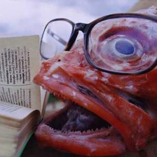 Barnes And Barnes Fish Heads 2b X27 S Roly Poly 808 X27 S