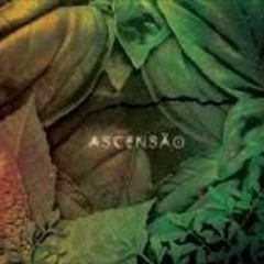 Serena Assumpção - Ascensão