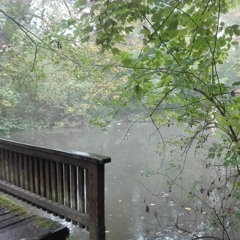 Underwater Recording of Rain on a Pond
