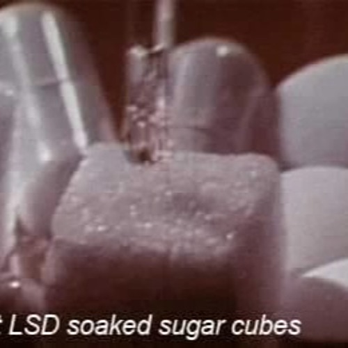 I'm Drowning Myself In Hallucinogens, My Darling
