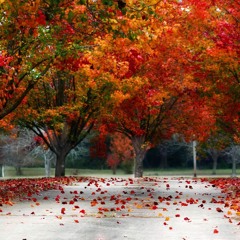 Raise Spirit - Fallen Leaves
