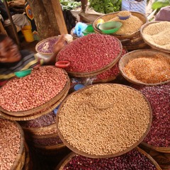 Alan Dangour: How human diets are impacting climate change.