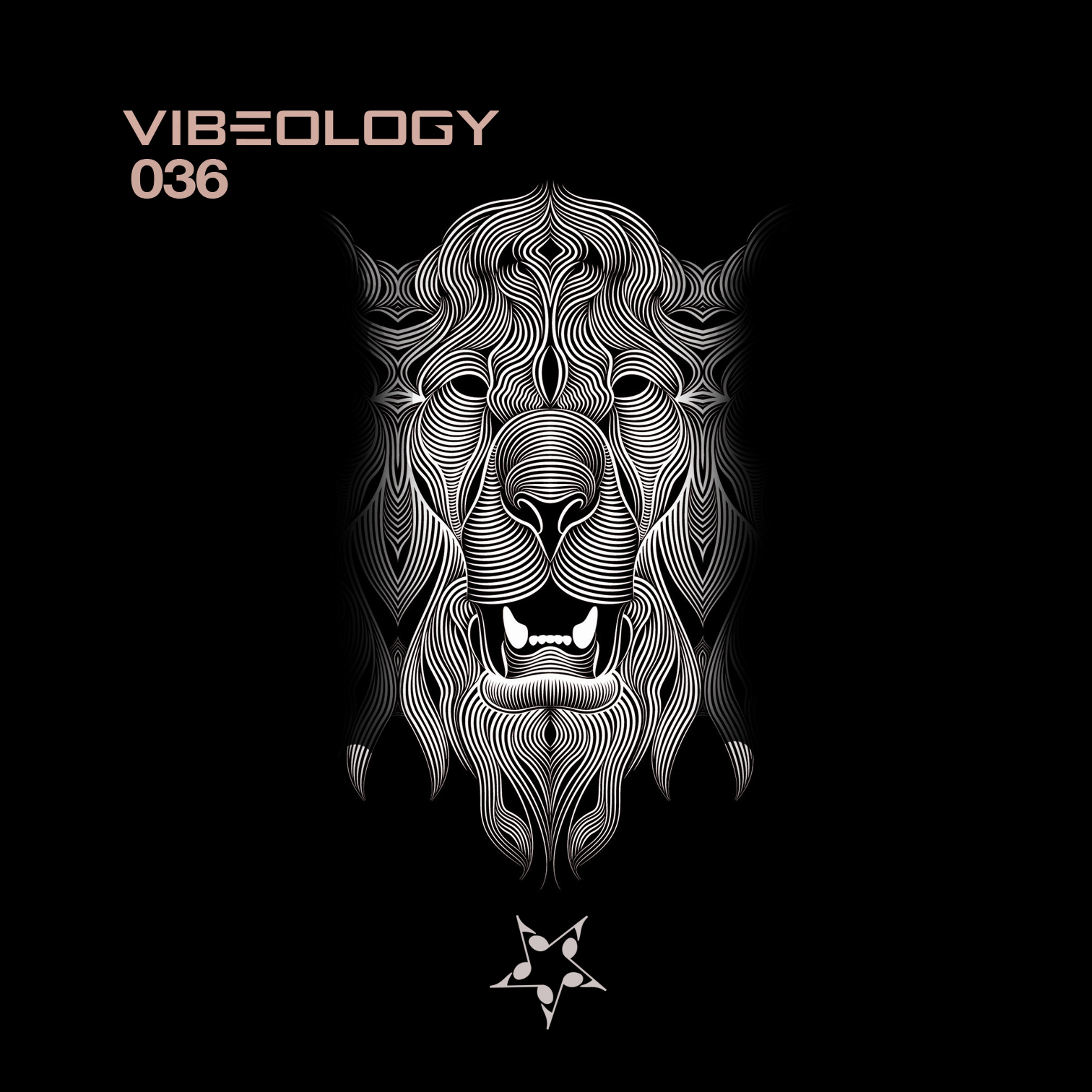 Vibeology Podcast