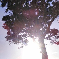 #erykahbadu #akuanaru #laurynhill #opuskong #backbeat #instrumental