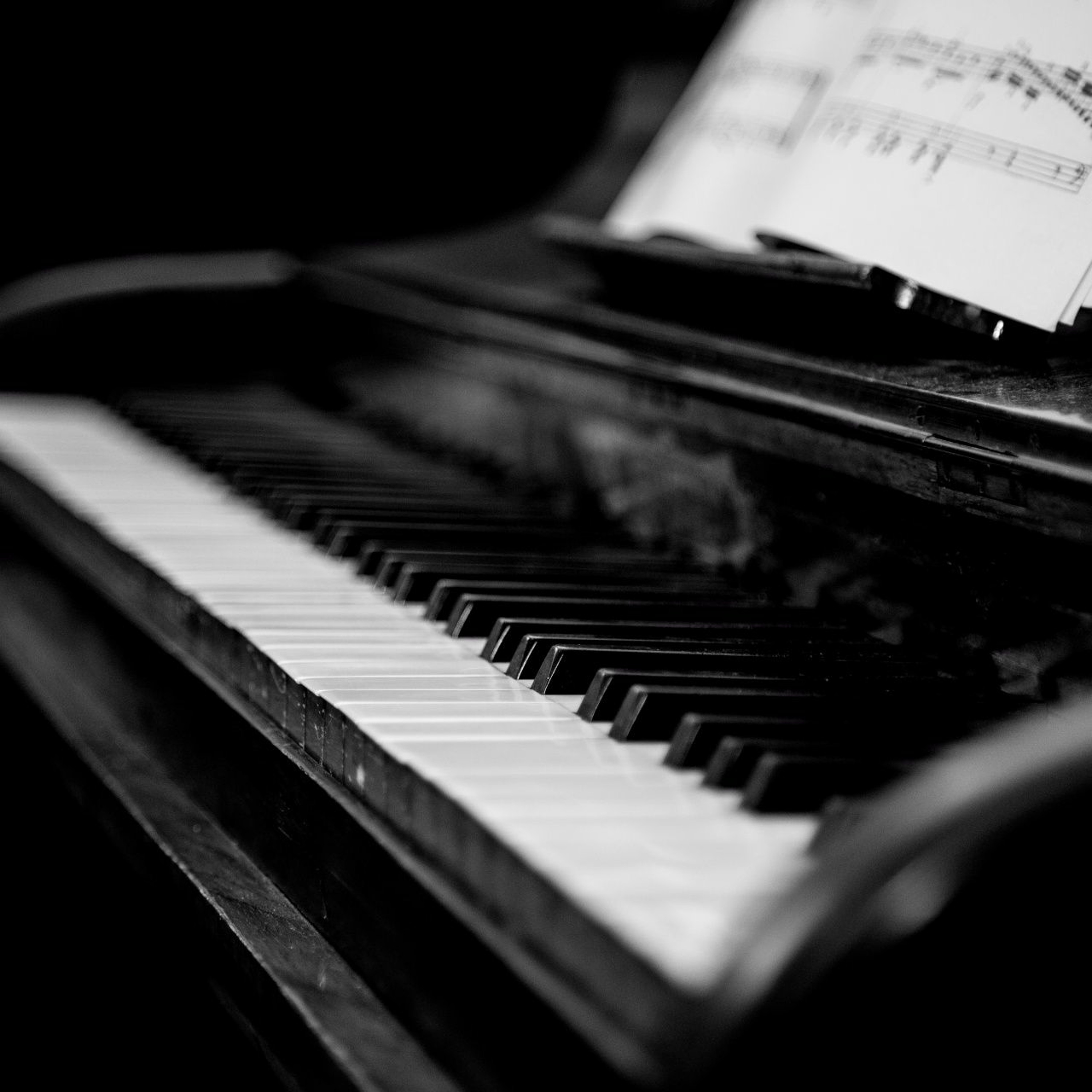 Steph Salieri  |  Composer