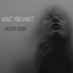 "What You Want" - My Bloody Valentine cover