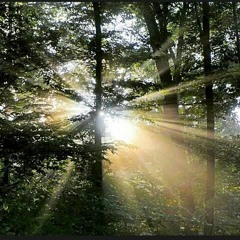 إنما نجاني الله بالصدق( اتَّقُوا اللَّهَ وَكُونُوا مَعَ الصَّادِقِين)-سعيد الكملي