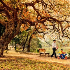 Nho Mua Thu Ha Noi - Hong Nhung