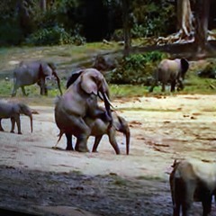 Lyrics & the Music (feat Truss One)