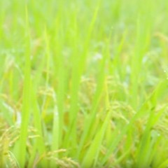 岡崎体育 - スペツナズ remix demo.