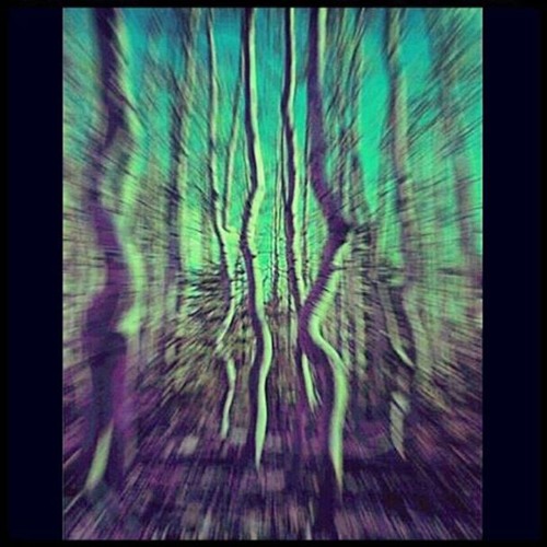 The Fall [Session V]