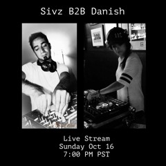 Sivz B2B Danish