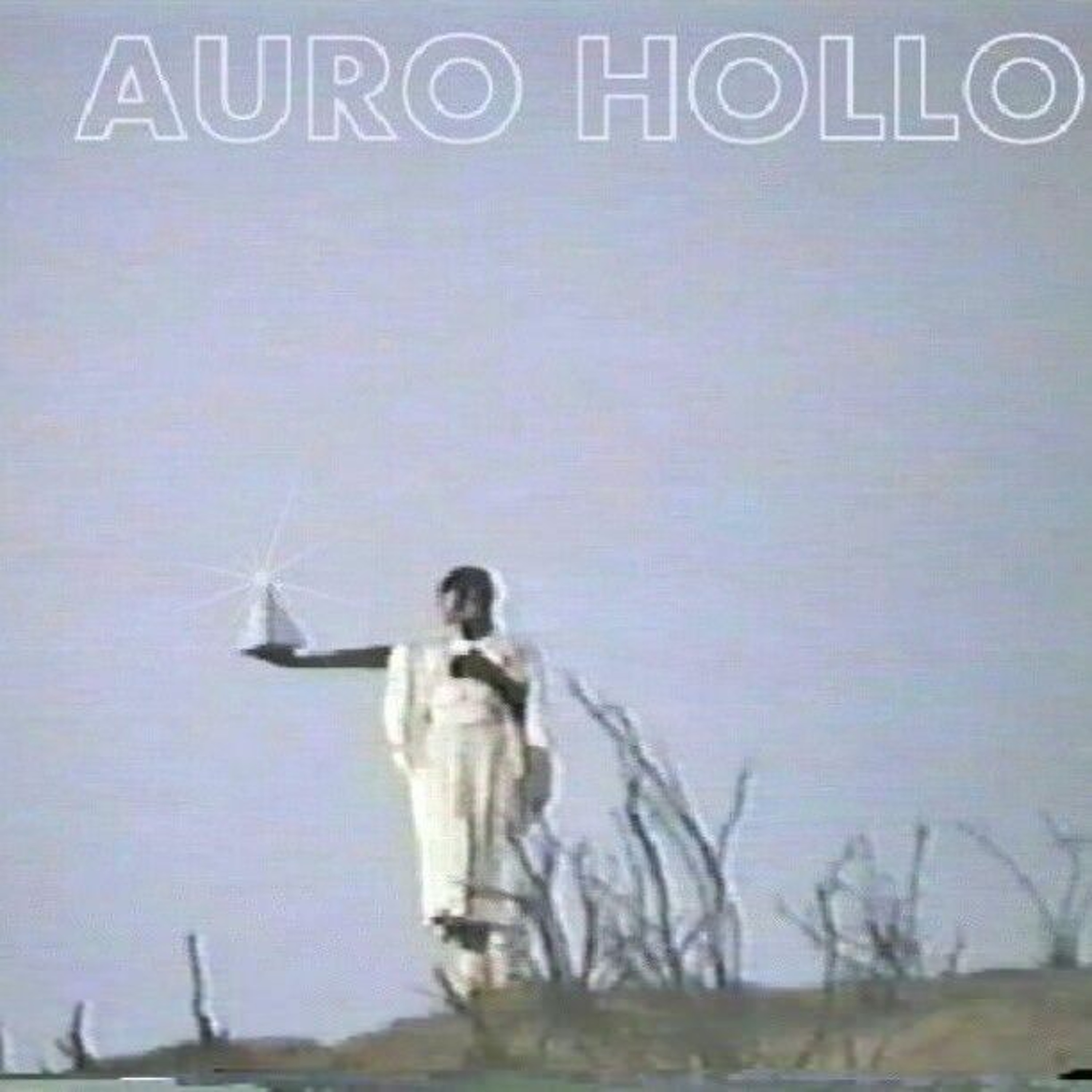 Auro hollO