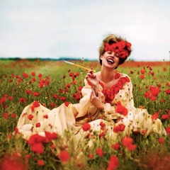 Poppy Dreams