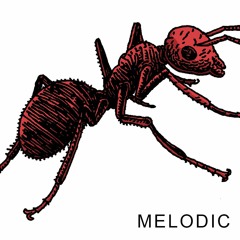 Melodic Playlist