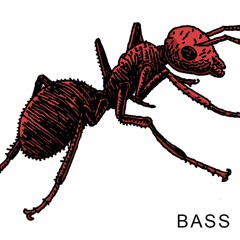 Bass Playlist