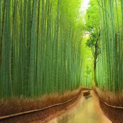 الرائع الاخ ناجي كامل - الخلاص 14 - 10 - 2016