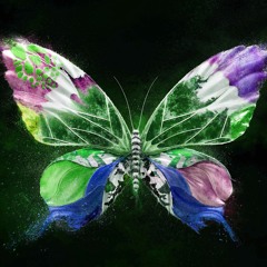 Afflynn - Butterfly (prod. Tomas Burner)