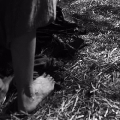 038. #fi2u #voices and sounds /16.11.2016