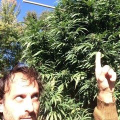 מלמל - מחשבות באויר