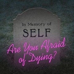 The Good Life - Are You Afraid Of Dying?