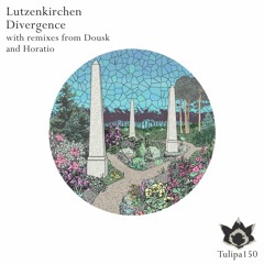 Lutzenkirchen - Space Racer