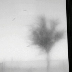 Cameron (I Will Always Miss You)