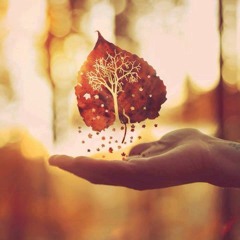 Hip Hop Beats Instrumental - Autumn Goodbye (#1 Radio HiT!!)|SOLD