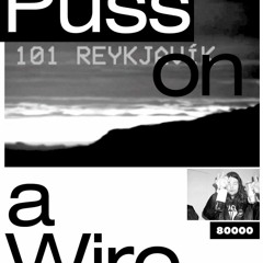 PUSS ON A WIRE - EPISODE #1 - http://radio80k.de/