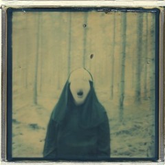 Monolix - Polaroid