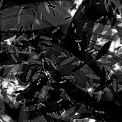 The Milk Man - Aaron's Aria (2016)