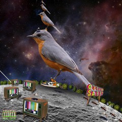 silk voyage (Feat. Hitmo'17)