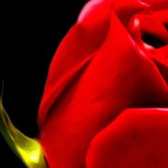 Å min bästa vän jag älskar Dig