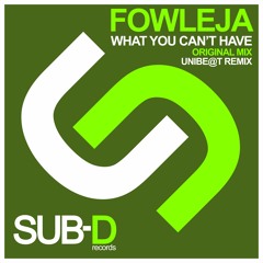 Sampler: Fowleja - What You Can't Have Unibe@t Remix