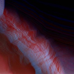 Aubert Senechal - 30