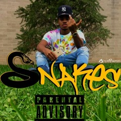 Scoop - Snakes