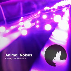 Animal Noises @ Thump Night - Oct 08 2016
