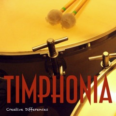 Timpan - Alley (MODWHEEL)