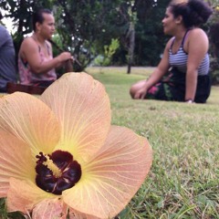 Usen Studio _nqa esamack_