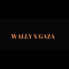Wally x Gaza