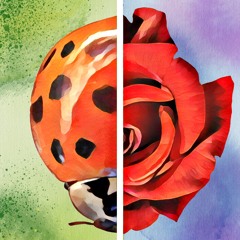 El agua en el canasto