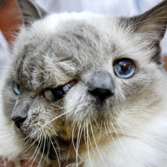 Talk To Me (co prod. Jaeger Aka Alvaro)