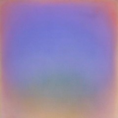 Assortment NonProjections Guest Mix